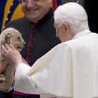 Pope Benedict XVI strokes a lion cub as he greets circus artists and workers during an audience he held in the Pope Paul VI hall, at the Vatican, Saturday, Dec. 1, 2012. Benedict clapped and watched amused as circus workers flipped, flopped, jug...