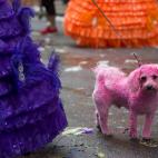 Hasta el 18 de julio, hay eventos relacionados en los diferentes barrios de Londres. En la fotografía, una participante camina junto a su perro, pintado de rosa.