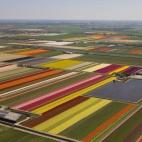 Vista aérea del norte de Holanda, en una imagen de 2008
(AP Photo/Peter Dejong)