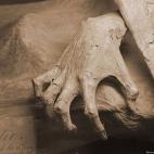 En Europa medieval y el Medio Oriente, los cadáveres fueron molidos y el polvo se utilizaba como medicamento. El polvo de momia fue pensado para curar dolencias comunes, como dolor de estómago y úlceras.