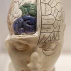 Otro predestinado a ser lo que es. El doctor Brain (cerebro, en inglés), fue un eminente neurólogo estadounidense de la primera mitad del siglo XX.