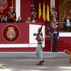 La cabra de la Legión, Pablo, tampoco se ha querido perder el Desfile. ¿Será su nombre un guiño a la ausencia del líder de Podemos?