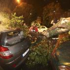 un árbol caído sobre un coche en Vigo esta madrugada.