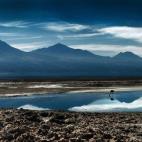 Otro de los más conocidos del mundo es el Atacama que, junto a los salares del Hombre Muerto y el de Uyuni, forman el llamado Triángulo del litio. En concreto el de Atacama guarda el 25% de la reservas mundiales de este elemento y, al igual q...