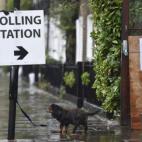 Un perro espera a que su dueño salga del colegio electoral en el que está votando sobre el Brexit