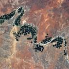 "Where there's water, there's life. Serpentine river and center pivot irrigation farms in South Africa."