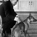 A picture dated 1939 shows German nazi Chancellor and dictator Adolf Hitler with his German Shepherd dog. AFP PHOTO / FRANCE PRESSE VOIR (Photo credit should read -/AFP/Getty Images)