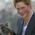 El Príncipe Harry, con un koala en Sidney.
