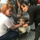 People and their dogs remain on a street during a powerful earthquake in Mexico City on February 16, 2018. Mexico's National Seismological Service put the magnitude of the quake at 7.0, and seismic monitor network Sky Alert said the quake was fe...