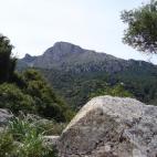 El Puig de Galatzó es una cumbre de 1.027 metros de altura y uno de los mejores miradores de la isla de Mallorca. La reserva natural del Galatzó es el único foco del incendio aún activo. La zona es parte de una reserva natural.