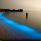 Mientras caminaba por la isla de Larek, en Irán, Pooyan Shadpoor, miembro de Your Shot, se encontró con la luminosa escena de la fotografía. "Las luces mágicas del plancton me encantaron así que disparé", escribe.