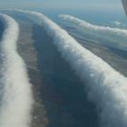 Las nubes morning glory (gloria matutina)  tienen forma de rollo, pueden alcanzar hasta los 1000 km de largo, de 1 a 2 km de altura y desplazarse a velocidades de hasta 60 km/h. En la parte frontal tienen fuertes movimientos verticales que trans...