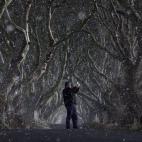 Un hombre toma una fotografía con su móvil bajo la nieve en Dark Hedges, en el condado de Antrim (Irlanda del Norte). El lugar fue una de las localizaciones del rodaje de la serie de televisión Juego de Tronos.