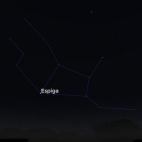 Después de pasar Arcturus y siguiendo el camino del arco hacia el sur llegamos a Espiga, que es la estrella más brillante de Virgo. Este astro es el punto más fácil de identificar de la constelación zodiacal. 