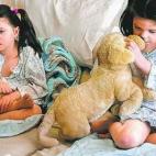 Las gemelas Addison y Cassidy Hempbel, de cinco años en esta foto, sufren de una condición rara y fatal, que debilita su capacidad de hablar, caminar y comer. La condición, Niemann-Pick tipo C, afecta a 500 niños alrededor del mundo y es a v...