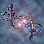 Desde comienzos de este siglo se ha añadido una nueva dimensión al genoma humano completado en 2003: además de la secuencia, existen ciertas modificaciones químicas del ADN que también afectan a su actividad. Esta tercera dimensión del gen...