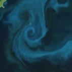 El 25 de octubre de 2009, el Moderate Resolution Imaging Spectroradiometer (MODIS) del satélite de la NASA Aqua captó esta imagen del fitoplancton en la costa de Nueva Zelanda.