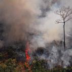 Vista a&eacute;rea de los fuegos en la Amazonia a unos 65 kil&oacute;metros de Porto Velho, en el estado de Rondonia, en el norte de Brasil, el 23 de agosto de 2019.