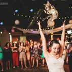 Así sería si en vez de ramo llevaran un gatito: bridesthrowingcats.com