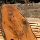 A lumber yard owner in Tennessee was crying Hal-log-lejuah after he saw this image on the inside of a tree trunk. Click here to read the whole story.