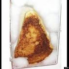 This grilled cheese bearing what some say is the likeness of the Virgin Mary sold for $28,000 on eBay in 2004.