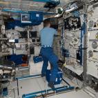 Aunque toda la ISS es un laboratorio en sí, los módulos principales como el Columbus están diseñados para realizar un sinfín de estudios y experimentos científicos.