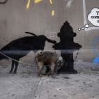 Un perro orina en la obra de Banksy en la calle West 24th en New York. Es el 3 de octubre 2013.