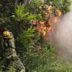 Un bombero se exprime para apaciguar las llamas en Folgoso do Courel, Lugo