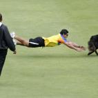 Un perro en un partido de cricket.