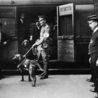 El Mayor Richardson, alto mando británico especialista en entrenamiento canino, parte junto a un perro de la Cruz Roja desde la estación de Charing Cross, en Londres, para asistir a localizar a soldados heridos en los campos de batalla durante...