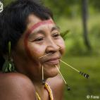 Mayo: las autoridades brasileñas iniciaron una operación para expulsar a once haciendas ganaderas ilegales del territorio yanomami en Brasil como medida para devolver la tierra a los indígenas. Al menos tres de las haciendas, en la región de...