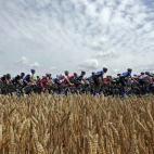 El pelotón del Tour de France, a su paso por Le Touquet-Paris-Plage to Lille durante la cuarta etapa de la competición,de 163,5 kilómetros.
