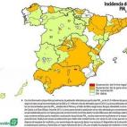 La contaminación por las partículas de menos de 2,5 micras afecta principalmente a la mitad sur y al centro del país, así como a algunas áreas industriales del norte por la presencia de centrales térmicas. 31 millones de españoles re...