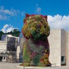 Mucho más popular es Puppy, cachorro hecho con plantas reales sobre acero inoxidable que reina en la entrada del Guggenheim de Bilbao.