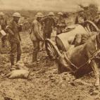 Soldados tratan de sacar aun caballo hundido en el fango en Flandes. (War of the Nations, New York Times Co., New York, 1919)