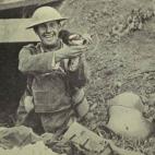 Una urraca hallada en una trinchera alemana capturada por los británicos. (Birds and the War, Skeffington & Son, London, 1919)