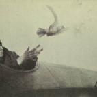Un soldado suelta una paloma mensajera desde su avión en 1919. (Birds and the War, Skeffington & Son, London, 1919)