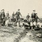 Soldados llevando perros de guerra. (British War Dogs: Their Training and Psychology; Skeffington & Son, Ltd, London)