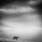 Autor de Noruega - Finalista en la categoría de viajes: Es parte de una serie de imágenes del autor en blanco y negro tomadas en Svalbard.