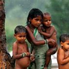 Un grupo de indios se refugian de las lluvias bajo un árbol en Nueva Delhi, India.