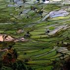 Visitar en primavera las terrazas de Yuanyang es, sin duda, un espectáculo único para los sentidos. Estos arrozales forman la simbiosis perfecta entre la montaña, obra de la Naturaleza, y las terrazas, obra del hombre, creando un paisaje úni...