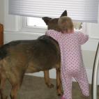 "My daughter has learned how to crawl with the help of our dog, as well as how to bark (and unfortunately beg)." - Bonnie L.

We already know that dogs love to look out the window. And, when kids take the time to gaze outside with a four-legge...