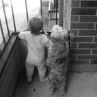 "This is my daughter just after her 1st birthday looking over our balcony. This kid has no fear of dogs and will walk right up to every dog she sees if we let her." - Melissa Versen

For people with furry pets, leaving the house without sporti...