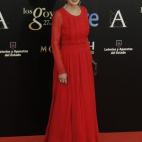 La actriz Marisa Paredes, en la gala de los Goya 2013.