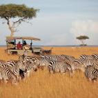 Para los amantes de la naturaleza y los animales, el Masai Mara es todo un regalo. Leones, ñus, hipopótamos, cebras, elefantes, cocodrilos, jirafas… Una de las mejores opciones para recorrer el parque y llegar a los sitios donde acampan toda...