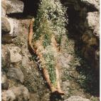 Ana Mendieta, Untitled (from the Silueta series), 1973-77. Collection Museum of Contemporary Art Chicago, gift from The Howard and Donna Stone Collection.