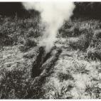 Ana Mendieta, Untitled (from the Silueta series), c. 1978. Collection Museum of Contemporary Art Chicago, Bernice and Kenneth Newberger Fund.