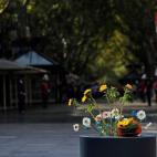 Detalle de las flores dejadas por los familiares de las v&iacute;ctimas mortales del atentado del 17 de agosto del a&ntilde;o pasado en Barcelona y Cambrils.