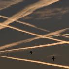 Dos patos vuelan bajo las estelas que han dejado los aviones en el cielo londinense.