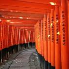 Lo que más les gusta a los niños de este santuario situado en Kyoto (Japón) son los pasillos creados con puertas Shinto. Es un lugar muy curioso, bonito y sagrado que cada vez más viajeros se animan a visitar. El santuario Fushimi Inari Tai...